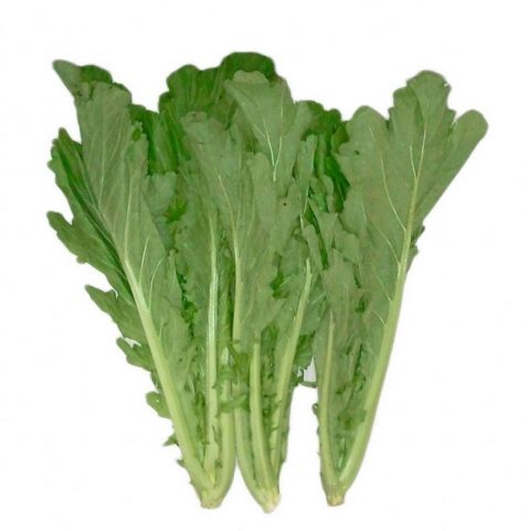 Rau Cải Mèo Mộc Châu - tác dụng của rau cải mèo 2025