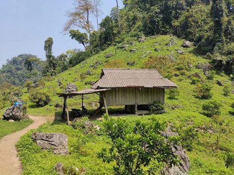 Ngũ động bản ôn2