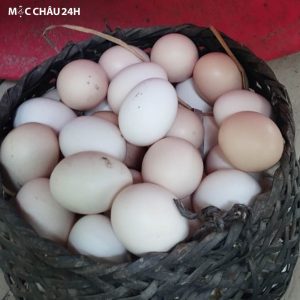 Giá trứng gà H'mông bao nhiêu?